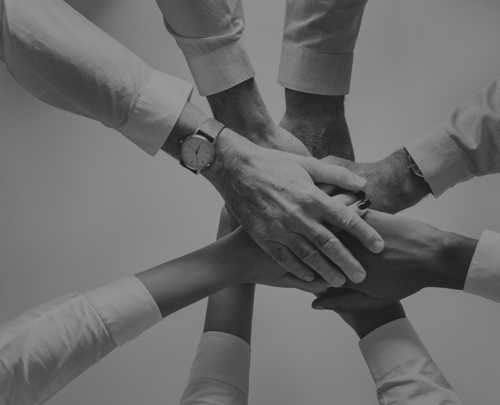 EnSoft Consulting Mission